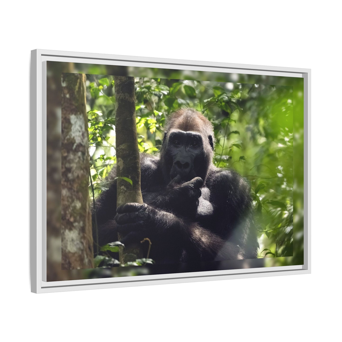 Silverback Gorilla Framed Canvas Wall Art, Gabon Africa Wildlife Photography Print, Safari Animal Decor