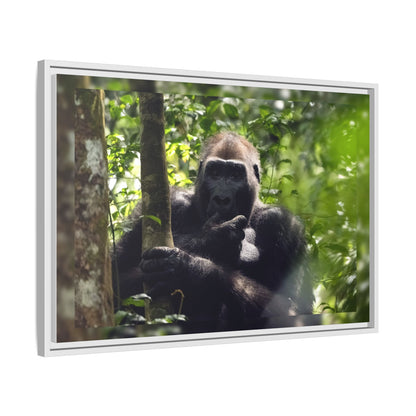 Silverback Gorilla Framed Canvas Wall Art, Gabon Africa Wildlife Photography Print, Safari Animal Decor