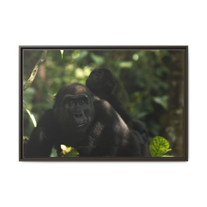 Gorilla Mother and Baby Wall Art, Gabon Wildlife Photo, African Forest Espresso Framed Canvas Print