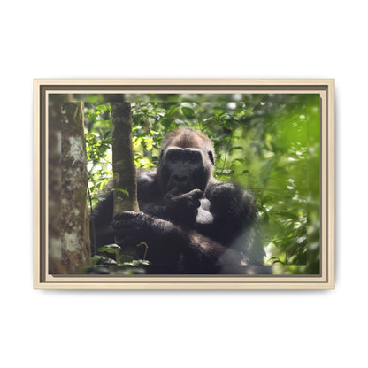 Silverback Gorilla Framed Canvas Wall Art, Gabon Africa Wildlife Photography Print, Safari Animal Decor