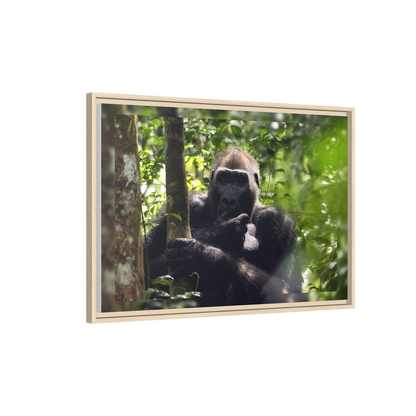 Silverback Gorilla Framed Canvas Wall Art, Gabon Africa Wildlife Photography Print, Safari Animal Decor