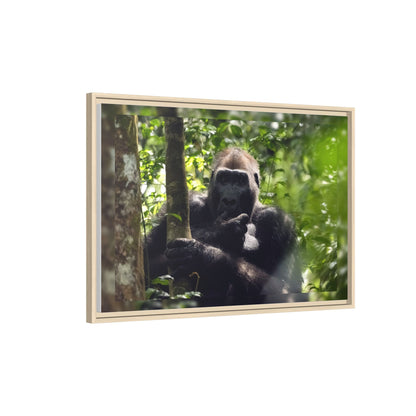 Silverback Gorilla Framed Canvas Wall Art, Gabon Africa Wildlife Photography Print, Safari Animal Decor
