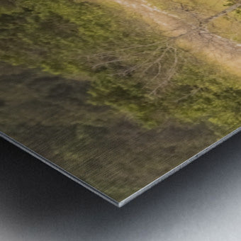 2728813 :: Brushed Metal Print