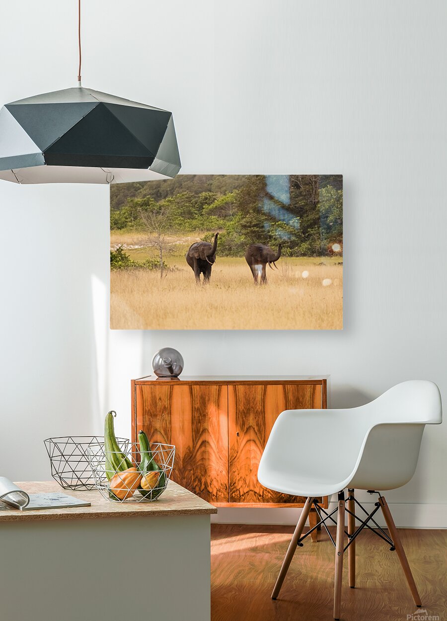 2728813 :: HD Sublimation Metal Print