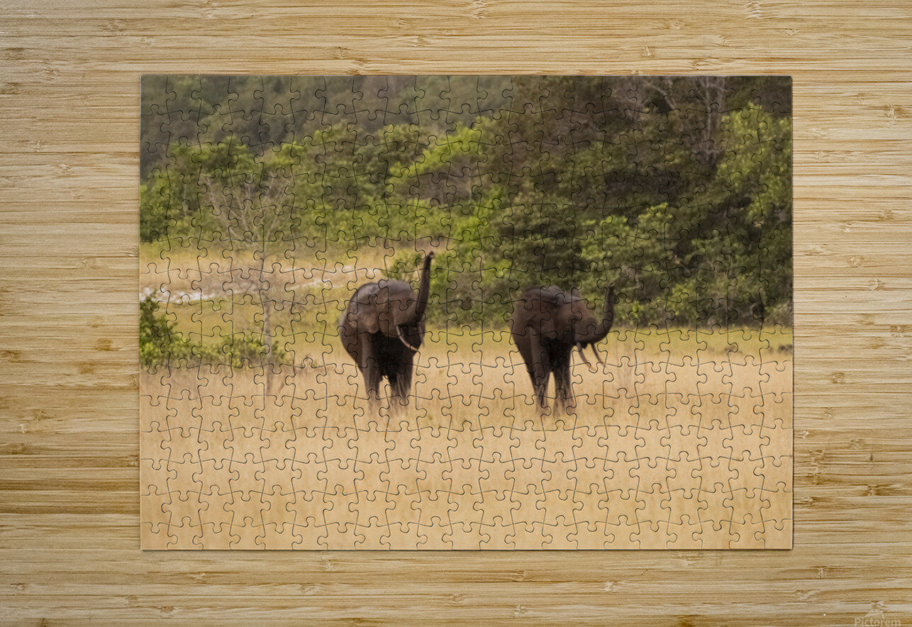 2728813 :: Puzzle Print