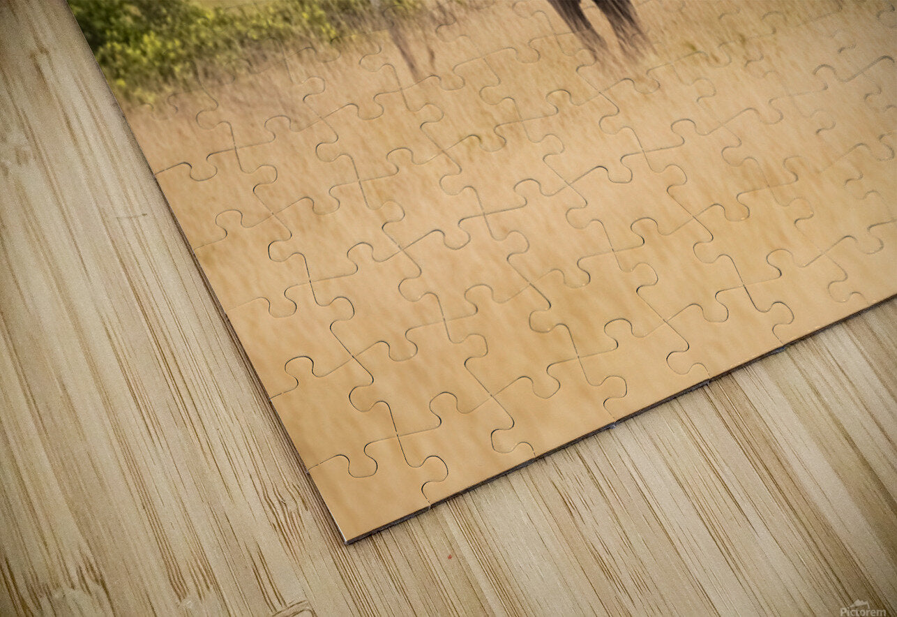 2728813 :: Puzzle Print
