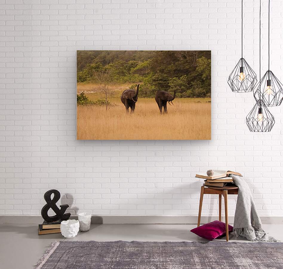 2728813 :: Wood Print