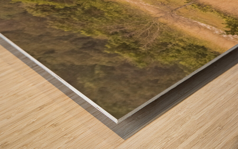 2728813 :: Wood Print