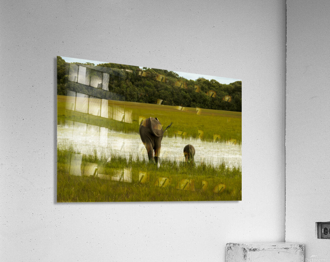 2728814 :: Acrylic Print
