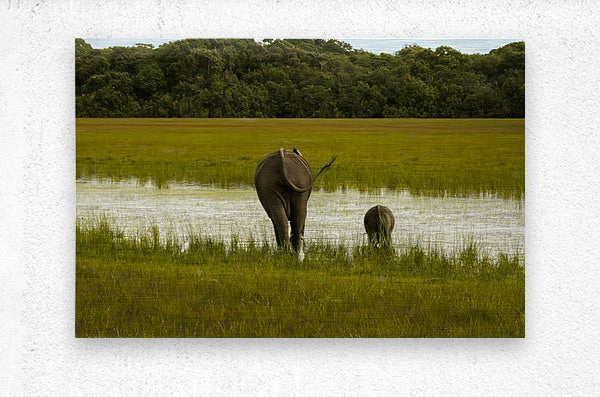 2728814 :: Brushed Metal Print