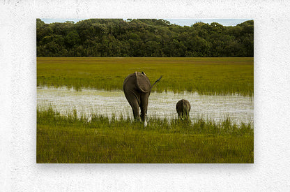 2728814 :: Brushed Metal Print