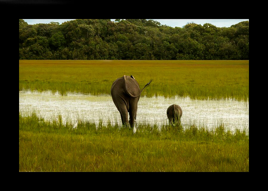 2728814 :: Framed Print