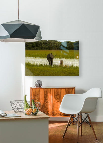 2728814 :: HD Sublimation Metal Print