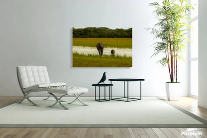 2728814 :: Giclée Stretched Canvas Print