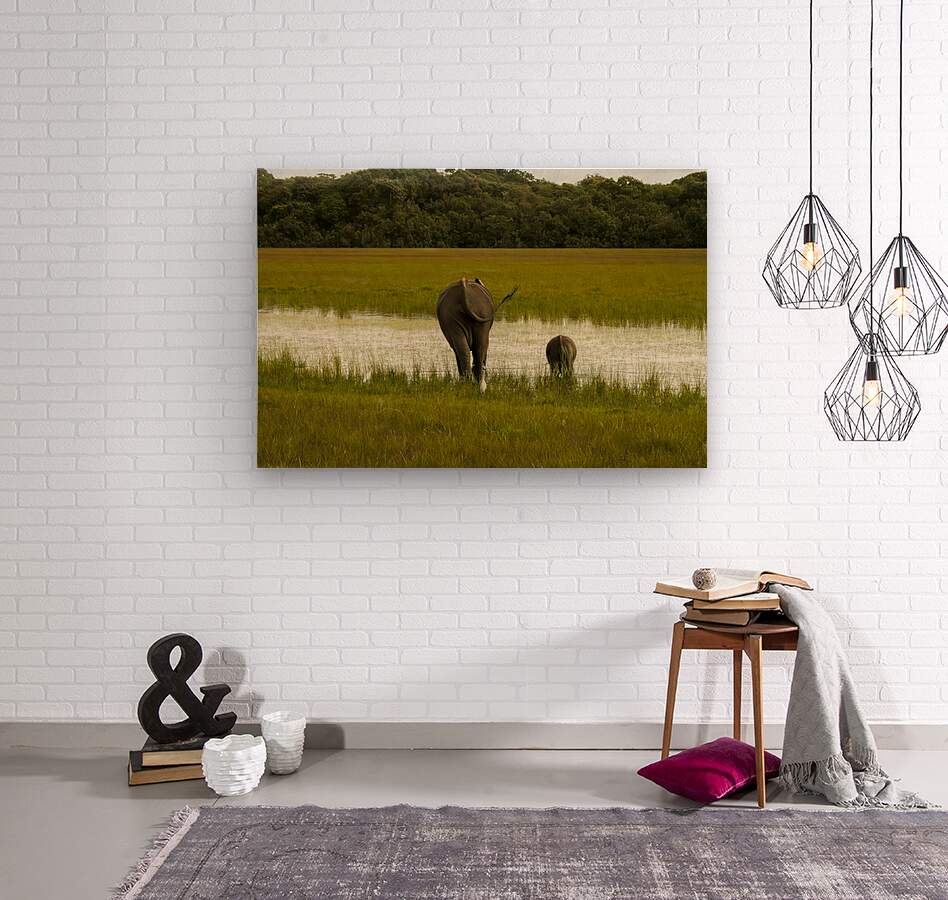 2728814 :: Wood Print