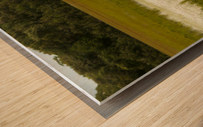 2728814 :: Wood Print