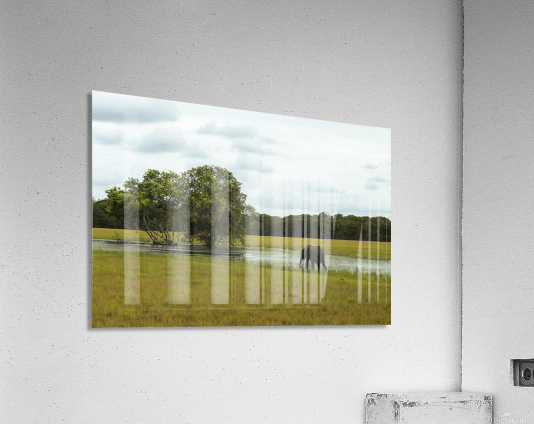 2728811 :: Acrylic Print