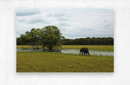 2728811 :: Brushed Metal Print