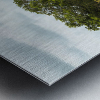 2728811 :: Brushed Metal Print