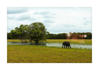 2728811 :: Framed Print