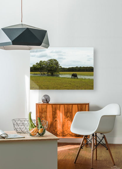 2728811 :: HD Sublimation Metal Print