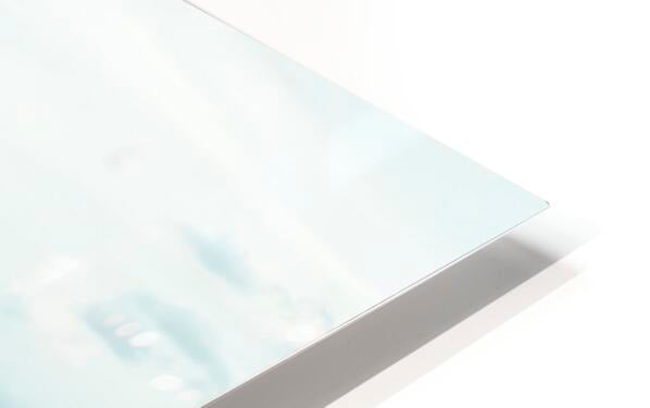 2728811 :: HD Sublimation Metal Print