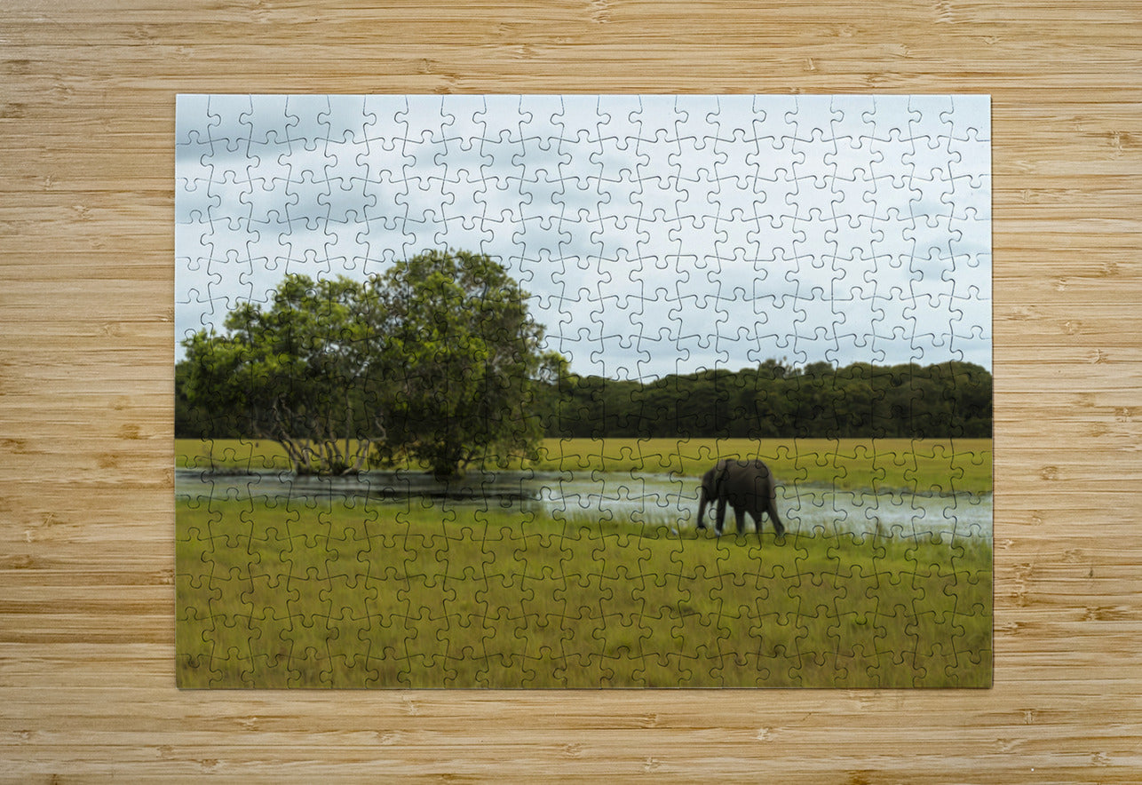 2728811 :: Puzzle Print