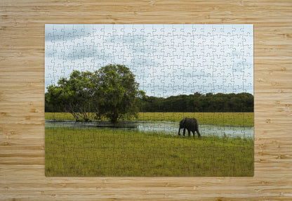 2728811 :: Puzzle Print