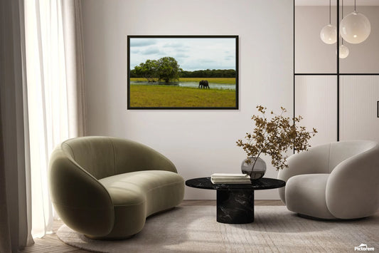 2728811 :: Giclée Stretched Canvas Print