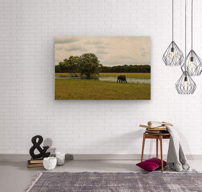 2728811 :: Wood Print