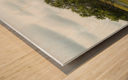2728811 :: Wood Print