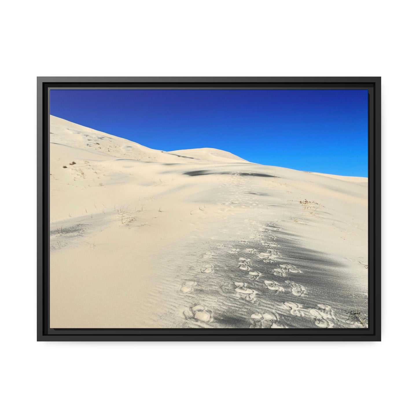'Footsteps' Mojave Dunes, California  - Gallery Framed Canvas Wrap - Horizontal